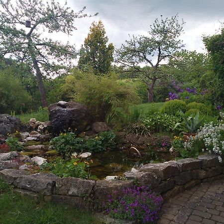 Ferienwohnung Adelhardt Eckersdorf エクステリア 写真