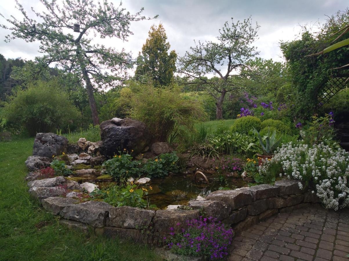 Ferienwohnung Adelhardt Eckersdorf エクステリア 写真